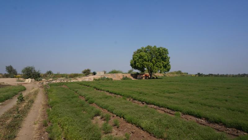 Landschaft Indien