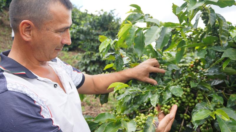 Kaffebauer in Brasilien.